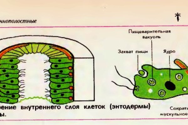 Кракен меф