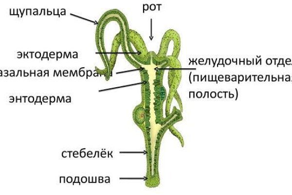 Украли аккаунт на кракене даркнет